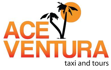 Ace Venture Taxi And Tours